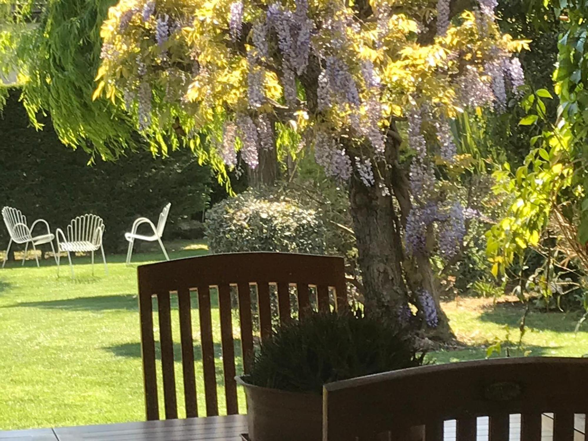 Villa Marlene B&B Albenga Eksteriør billede