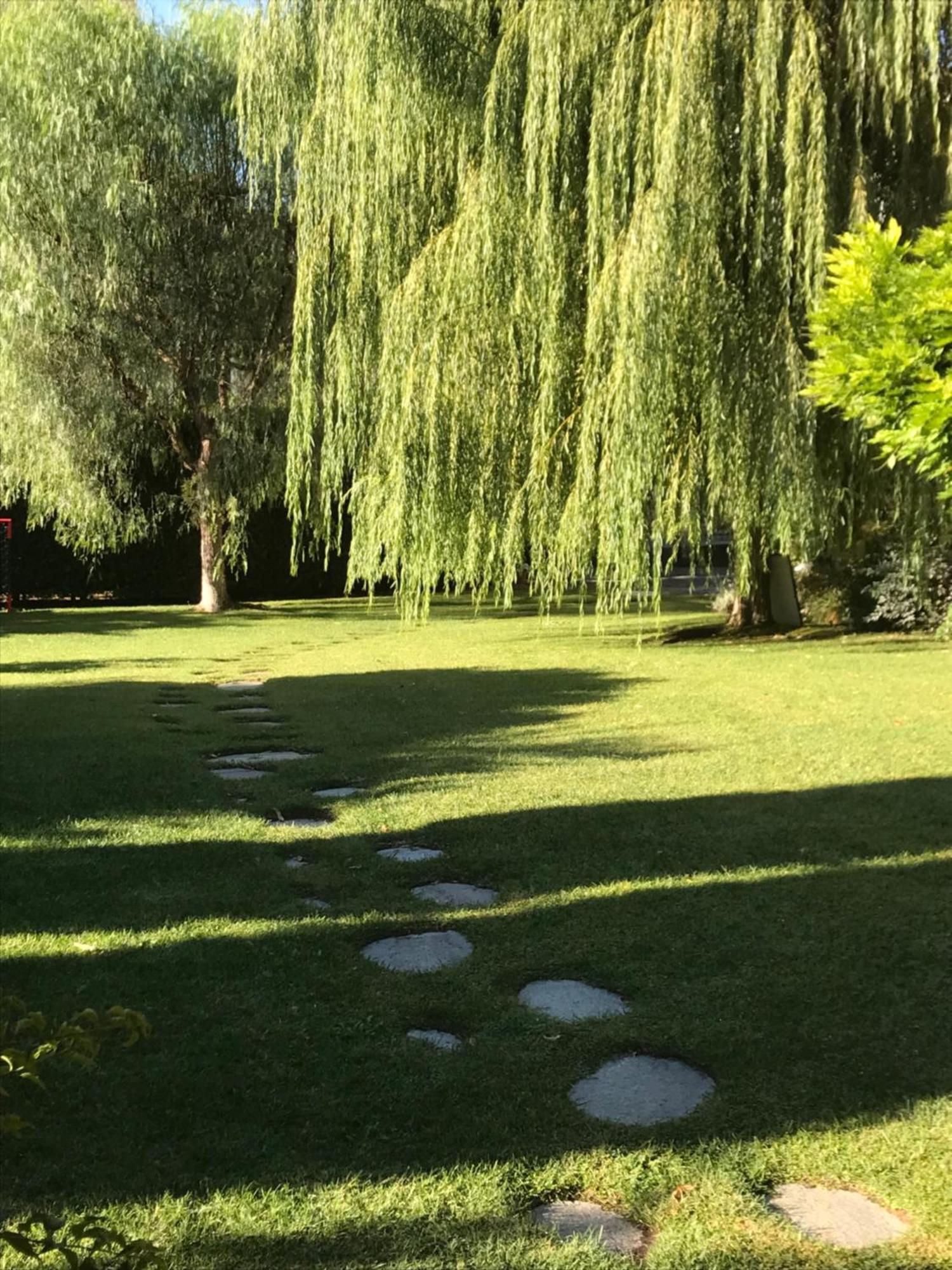 Villa Marlene B&B Albenga Eksteriør billede